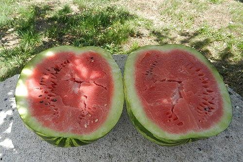 梦见吃瓜彩,瓜果飘香，彩绘人生