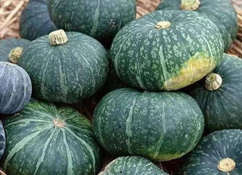 吃瓜大栗子,揭秘吃瓜大栗子的魅力与传奇故事