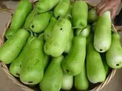 广东最近吃瓜事件,广东最新吃瓜事件大盘点