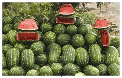 路边看到的吃瓜,揭秘夏日街头美食风情