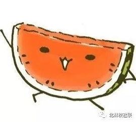 在家都吃瓜了,全民“吃瓜”乐翻天