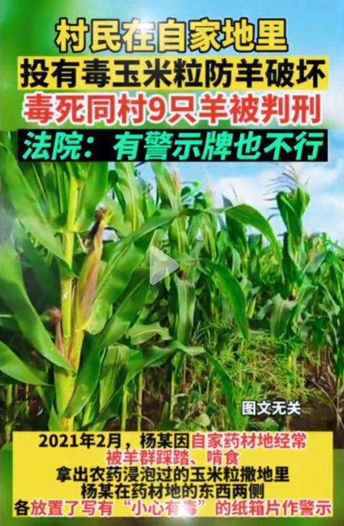 潮汕娜娜吃瓜,揭秘潮汕地区独特的饮食文化