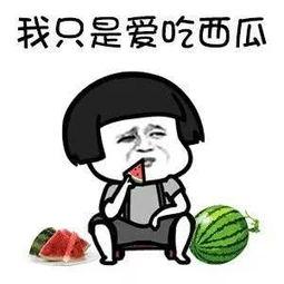 吃瓜谁是谁,揭秘“吃瓜群众”背后的真实身份与故事