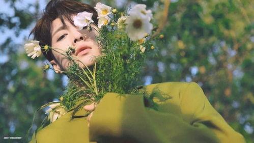 吃瓜封面背景图,一场视觉盛宴的诞生